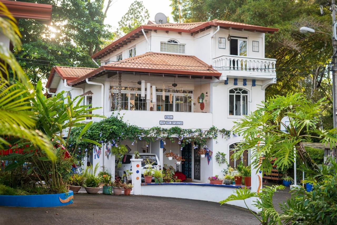 Hotel Ave Del Paraiso San José Dış mekan fotoğraf