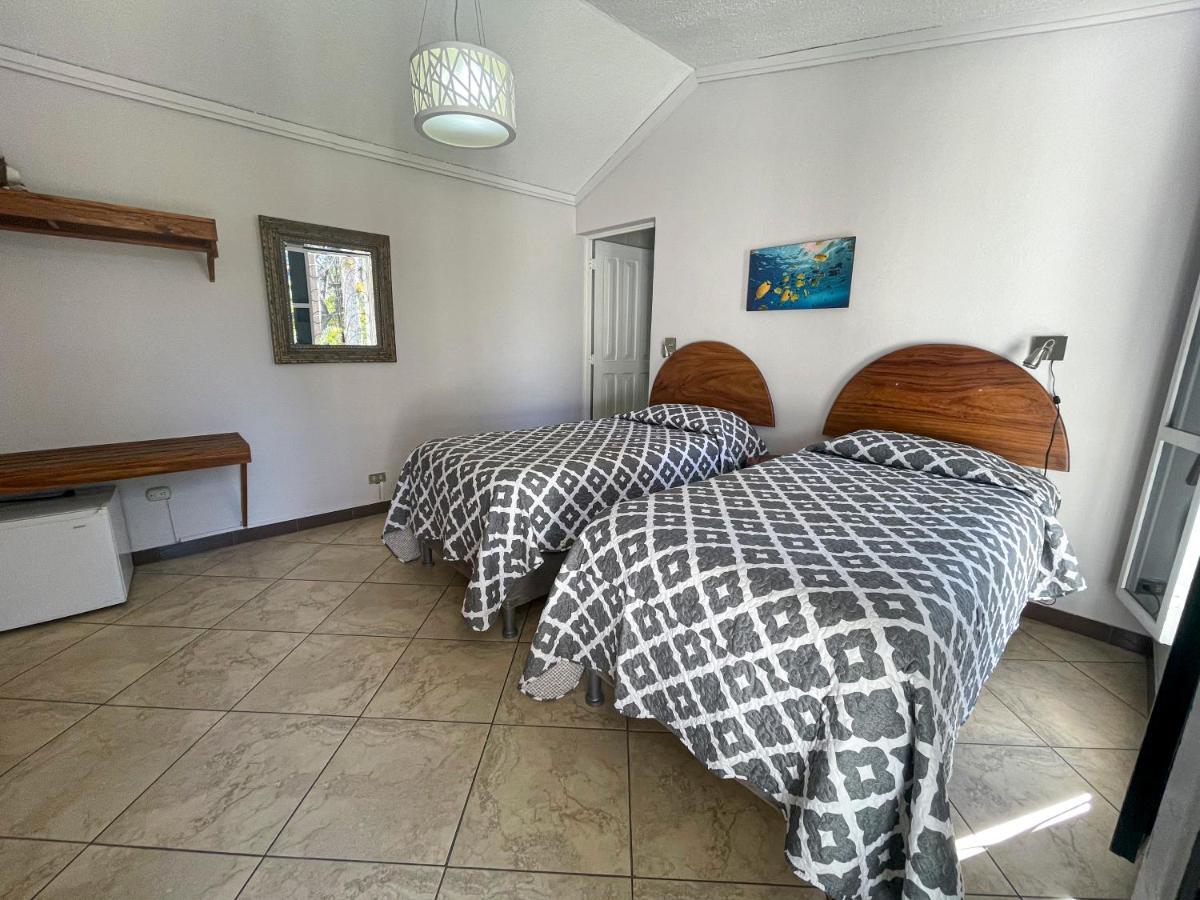 Hotel Ave Del Paraiso San José Dış mekan fotoğraf